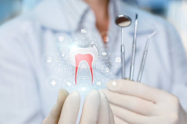 Professional Holistic Dental Care Services in Worthington, IN